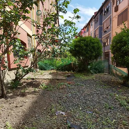 La Cruz 15 Проживание в семье *